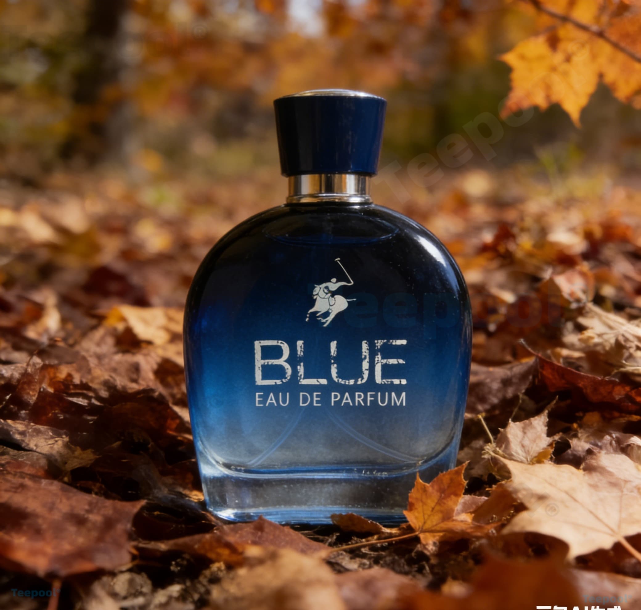 Fragrance Cologne And Perfume - perfume/fragrance，Glamour Men Perfume, Pheromone Perfume, Feromonas,