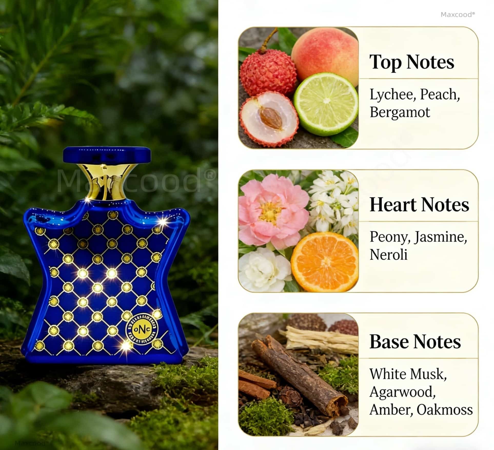 Citrus and floral Perfume Long - Unique Perfume Fragrance ulasan dan harga