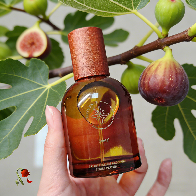 Korean Salon Perfume,Fig Green - Women'S Perfume Rose Fragrance ulasan dan harga