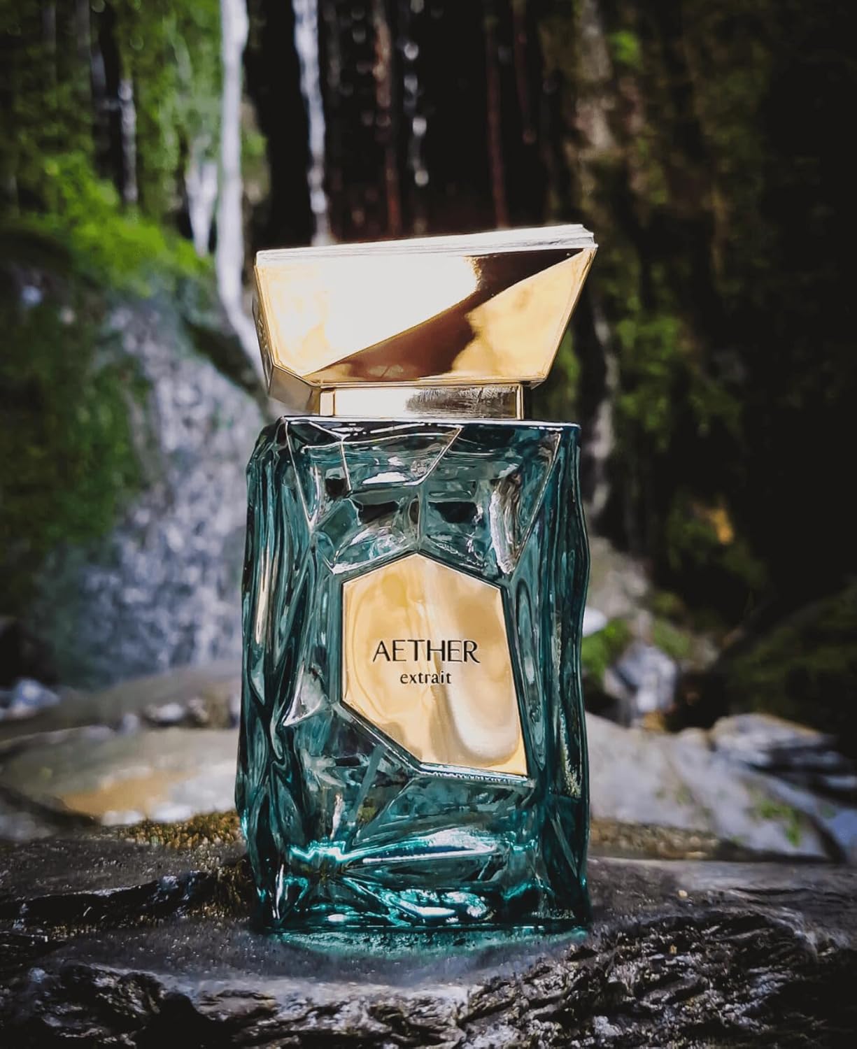Fragrance World French Avenue  - Perfume Is Fragrance World ulasan dan harga